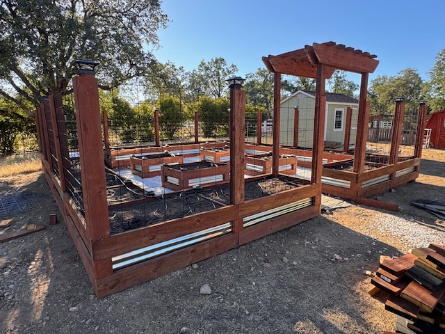 Completed garden pergola project
