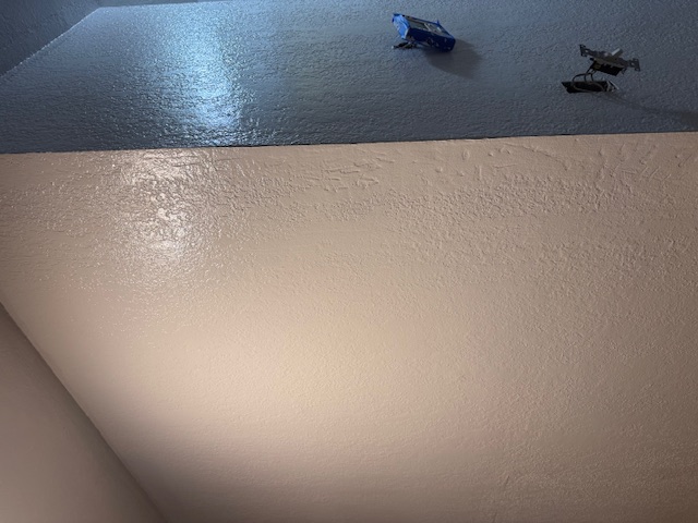 Interior painting detail
